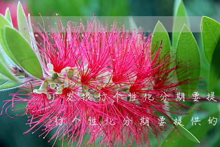广发银行个性化分期要提供的材料-广发银行个性化分期要提供的材料有哪些