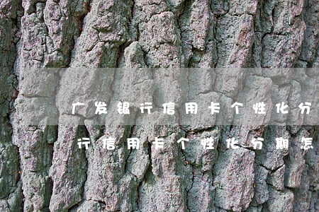 广发银行信用卡个性化分期怎么写-广发银行信用卡个性化分期怎么写申请
