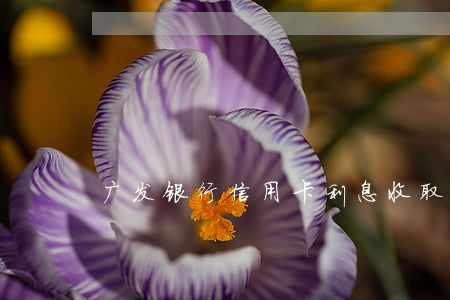广发银行信用卡利息收取