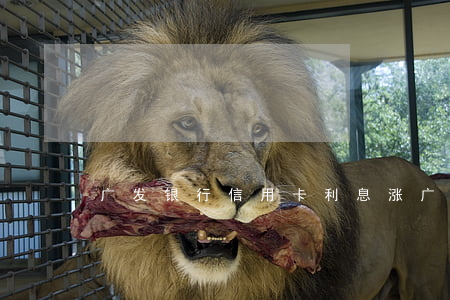 广发银行信用卡利息涨(广发银行卡利率高吗)