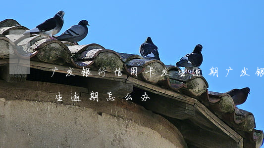 广发银行信用卡发生逾期(广发银行信用卡发生逾期怎么办)