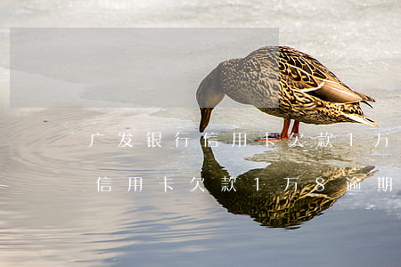 广发银行信用卡欠款1万8逾期-广发银行信用卡欠款1万8逾期怎么办