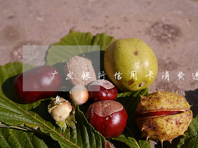 广发银行信用卡消费透支(广发信用卡消费利息)