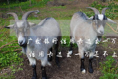 广发银行信用卡透支一万还不上-广发银行信用卡透支一万还不上怎么办
