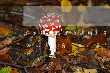 广发银行信用卡逾期5年(广发银行信用卡逾期几天会有不良记录)
