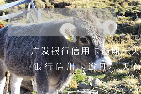 广发银行信用卡逾期一天有没有影响?-广发银行信用卡逾期一天有没有影响征信