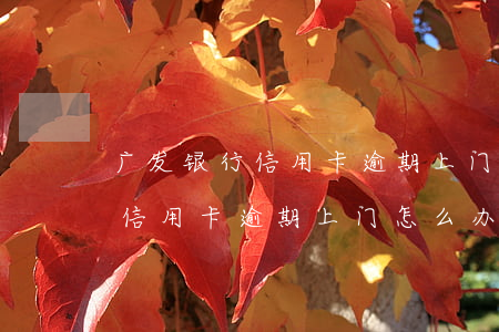 广发银行信用卡逾期上门怎么办-广发银行信用卡逾期上门怎么办啊