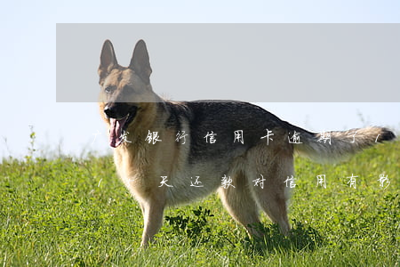广发银行信用卡逾期了15天 广发银行逾期15天还款对信用有影响吗