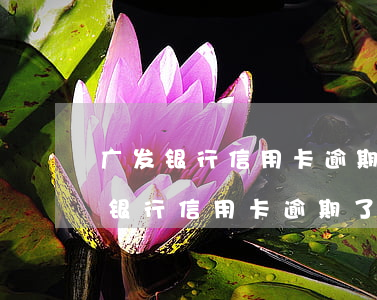 广发银行信用卡逾期了3个月寄了律师(广发银行信用卡逾期了3个月寄了律师)