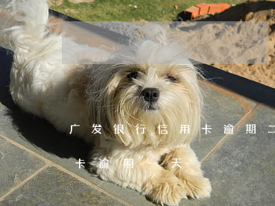 广发银行信用卡逾期二天有影响吗(广发信用卡 逾期一天)