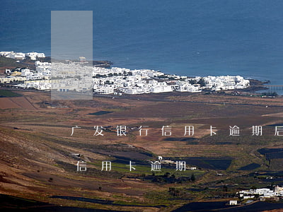 广发银行信用卡逾期后协商60期(广发银行信用卡 逾期)
