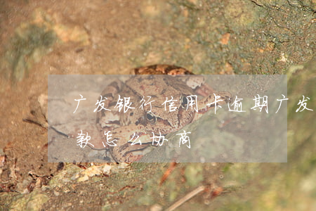 广发银行信用卡 逾期（广发银行信用卡逾期还款怎么协商）