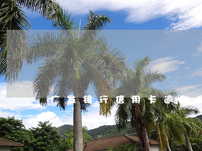 广发银行信用卡逾期收到了律师函