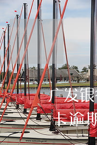 广发银行信用卡逾期还款会怎么样 广发银行卡逾期了还最低还款额就可以了吗