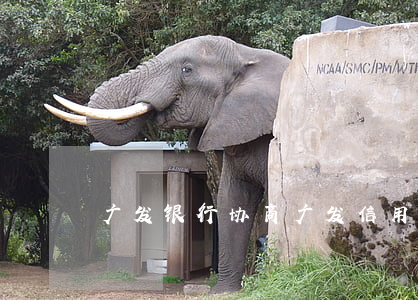 广发银行协商（广发信用卡协商后注销）