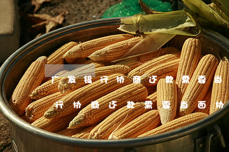 广发银行协商还款需要当面协商么-广发银行协商还款需要当面协商么吗