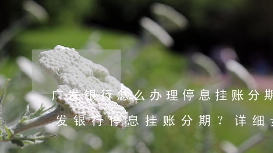 广发银行怎么办理停息挂账分期，如何办理广发银行停息挂账分期？详细步骤解析！
