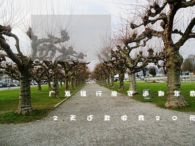 广发银行房贷逾期年费-广发银行信用逾期2天还款收我20元手续费