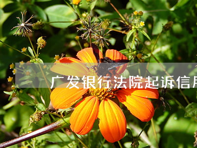广发银行法院起诉信用卡逾期