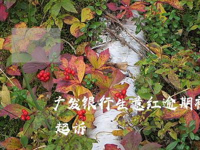 广发银行生意红逾期被起诉-广发银行多久起诉