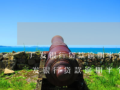 广发银行贷款逾期半个月会有什么后果-广发银行贷款逾期半个月会有什么后果吗