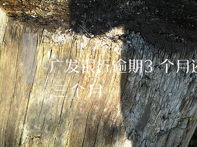 广发银行逾期3个月还款(广发银行延期还款三个月)