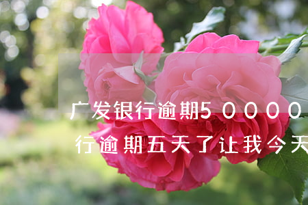 广发银行逾期50000多久起诉-广发银行逾期五天了让我今天还款,不然威胁我降低额度