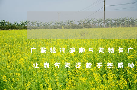 广发银行逾期5天锁卡 广发银行逾期五天了让我今天还款,不然威胁我降低额度