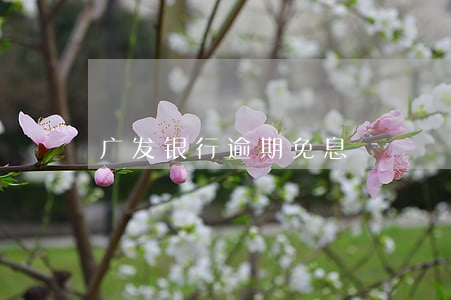 广发银行逾期免息