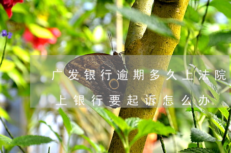 广发银行逾期多久上法院(广发贷款逾期还不上,银行要起诉,怎么办)