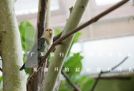 广发银行逾期被起诉怎么办(广发银行拖欠了准备开始起诉会有什么后果)