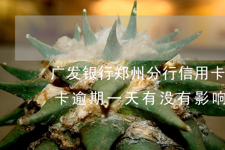 广发银行郑州分行信用卡逾期(广发银行信用卡 逾期一天有没有影响?)