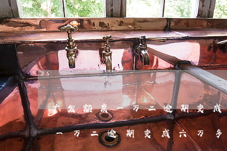 广发额度一万二逾期变成六万多-广发额度一万二逾期变成六万多怎么办