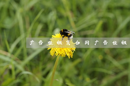 广告位租赁合同(广告位租赁合同模板)