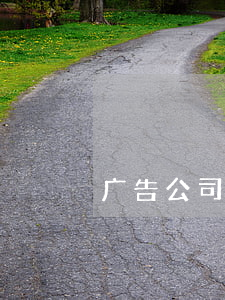 广告公司分类
