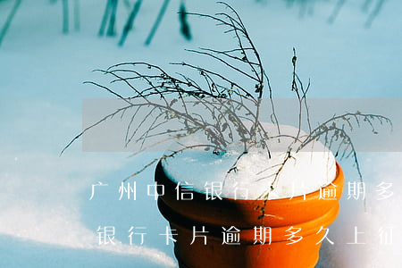 广州中信银行卡片逾期多久上征信 广州中信银行卡片逾期多久上征信记录