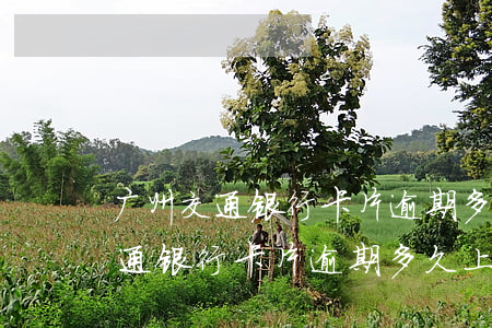 广州交通银行卡片逾期多久上征信-广州交通银行卡片逾期多久上征信记录
