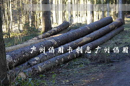 广州信用卡利息(广州信用卡利息扣了还扣)