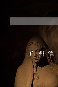 广州信用卡逾期三百天(1000 五十六千米)