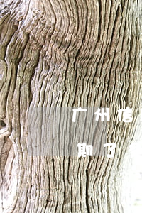 广州信用卡逾期了多久会停卡(广州信用卡逾期了多久会停卡还款)