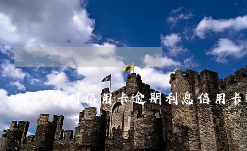 广州信用卡逾期利息(信用卡 逾期利息)