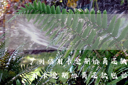 广州信用卡逾期协商还款电话号码-广州信用卡逾期协商还款电话号码是多少