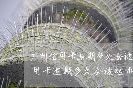 广州信用卡逾期多久会被起诉坐牢-广州信用卡逾期多久会被起诉坐牢呢