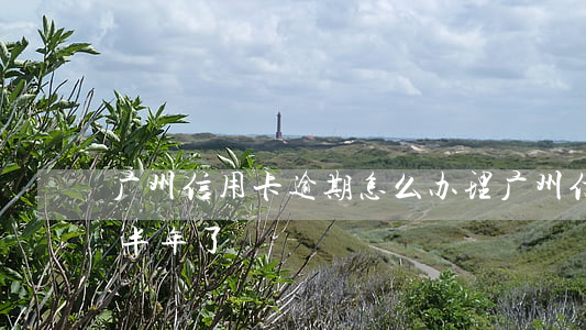 广州信用卡逾期怎么办理(广州信用卡逾期了半年了)