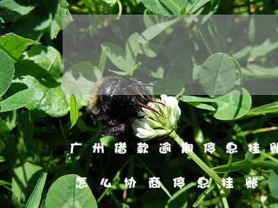 广州借款逾期停息挂账协商方法(贷款还不上怎么协商停息挂账)
