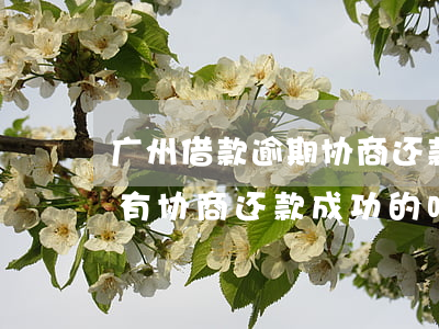 广州借款逾期协商还款(广州银行信用卡逾期有协商还款成功的吗)