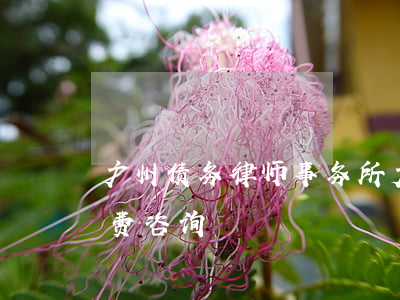 广州债务律师事务所(广州债务律师事务所免费咨询)