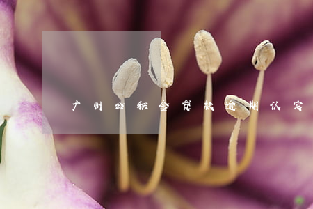 广州公积金贷款逾期认定