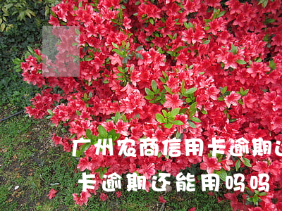 广州农商信用卡逾期还能用吗 广州农商信用卡逾期还能用吗吗