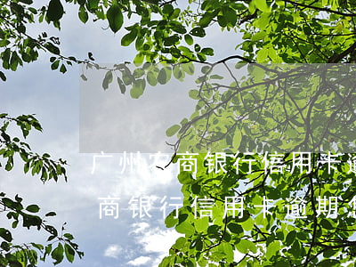 广州农商银行信用卡逾期怎么协商-广州农商银行信用卡逾期怎么协商不了